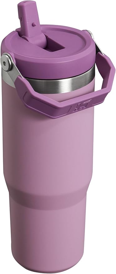 Stanley IceFlow Flip Straw Tumbler with Handle 30 oz | Twist On Lid and Flip Up Straw | Leak Resistant Water Bottle | Insulated Stainless Steel |BPA-Free | Lilac