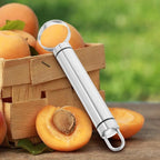 BESTonZON 2 PCS Multipurpose Corer Pitter, Stainless Steel Peach Pitter Fruit Core Remover, Pit Fruit Corer Removing Tool, Kitchen Gadget and Vegetable for Apple Pear Peach