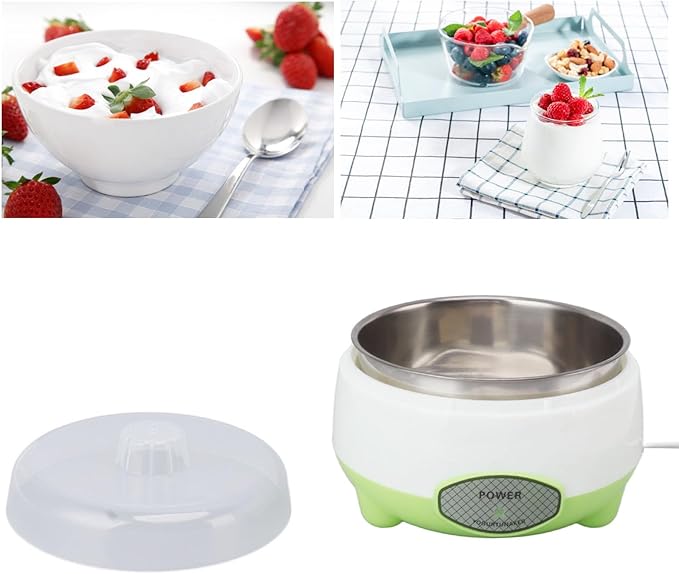 110 V Yogurt Maker Machine, Compact Yogurt Maker, Fruit Wine Maker, Stainless Steel, for Homemade DIY Yogurt Green 15W US Plug