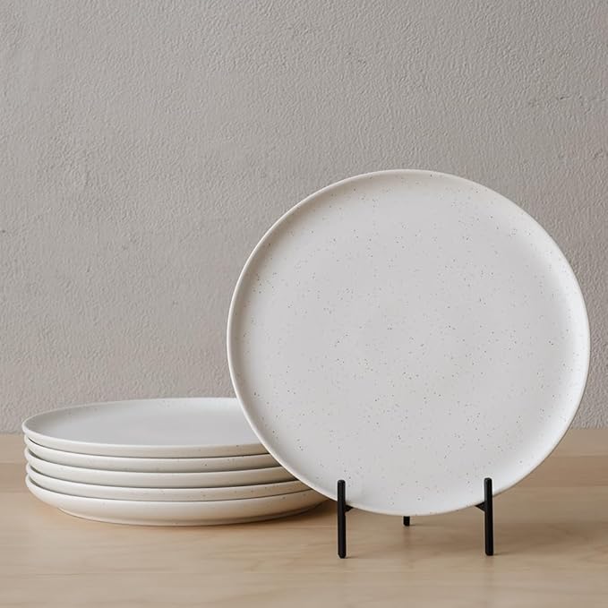 WENSHUO Dinner Plates Set of 6, Chip and Scratch Resistant (Nacre White, 10.5 Inch)