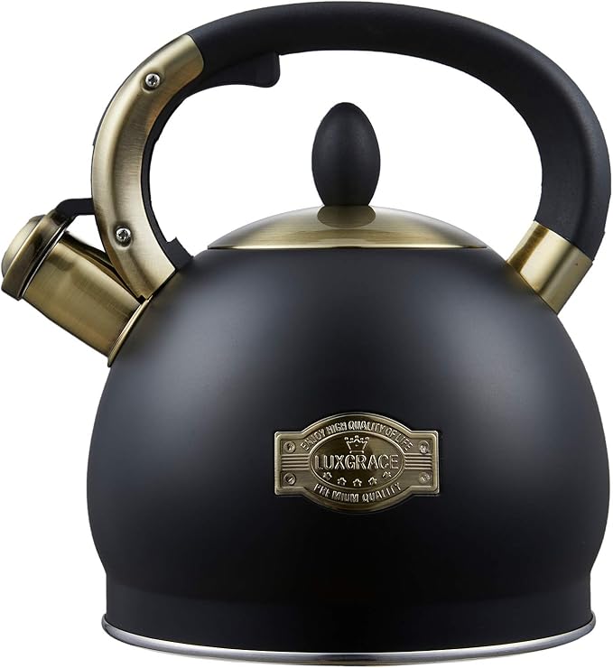 Stove Top Whistling Tea Kettle- Stainless Steel Teakettle Teapot with Ergonomic Handle 2.6 Quart(Black)