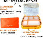 Bento-Box with Bag and Ice Pack. Lunch Boxes Snack Containers for Kids Boys Girls Adults. 6 Compartments, Leakproof Portion Container Boxes Insulated Bags for School Lunches, BPA Free, Orange