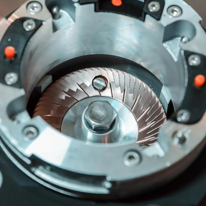 Fiorenzato All Ground Burr Grinder/Coffee Grinder for Home/Burr Coffee Ginder/Electric Coffee Ginder/Coffee Bean Grinder - 64mm flat burrs with Container - Made in Italy (BLACK)