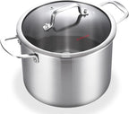 DELARLO Tri-Ply Stainless Steel 6QT Pot with Lid, Induction Ready, 6 Quart with Lid, Durable, Noodle Pot, 18/10 Heavy Duty for Cooking, Suit for All Stove, Up to 600℉(Lids 300℉)