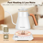 ECORELAX Gooseneck Electric Kettle, ±1℉ Temperature Control Pour Over Kettle for Coffee, Tea & Water, Stainless Steel 1200 W Keep Warm OLED Display 1 L (White)