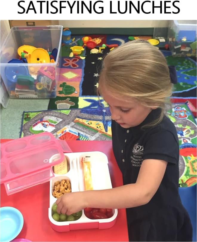 Bento Lunch Boxes with Bag and Ice Packs | Bento-Box Insulated Bag Ice Cold Pack Set of Two for Kids Adults | Value Container Set for School Kid Lunches, 6 Compartments BPA Free, Blue & Pink