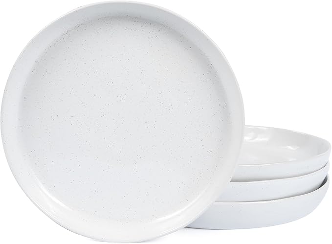 Ceramic Dinner Plates Set - 10 Inch Stoneware Plates, 4pcs Porcelain Plate, Dinnerware Dish set for Kitchen, Microwave Safe, Dishwasher Safe, Scratch Resistant,White