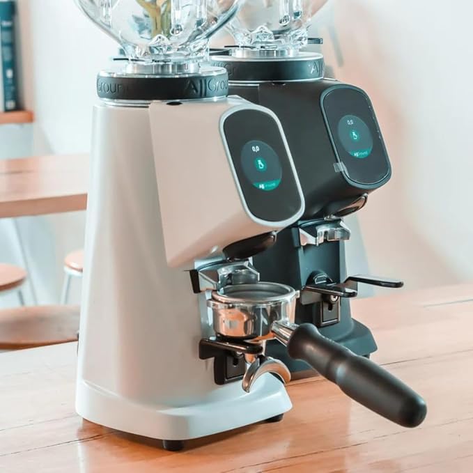 Fiorenzato All Ground Burr Grinder/Coffee Grinder for Home/Burr Coffee Ginder/Electric Coffee Ginder/Coffee Bean Grinder - 64mm flat burrs with Container - Made in Italy (BLACK)