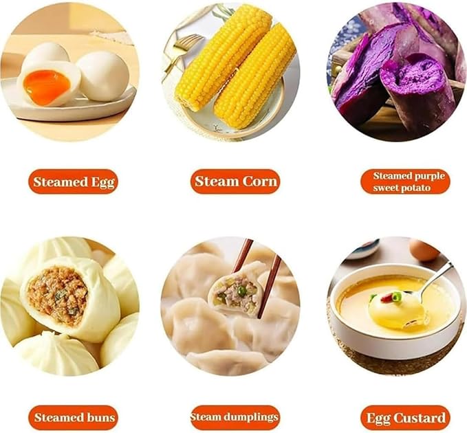 Egg Cooker,2025 New Rapid Egg Cooker 6 Egg Capacity, Soft, Medium, Hard Boiled, Poacher, Stainless Steel Electric Eggs Cooker,Or Hard-Boiled Eggs, Rapid Cook Time, Auto Shut-Off & Boil-Dry Protection