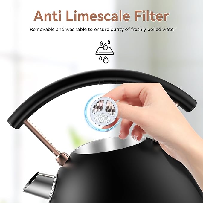 Rasonic Retro Electric Kettle Stainless Steel, 1.8L Tea Water Boiler, 1500W Fast Quiet Boil, Temperature Gauge, Auto Shut-Off, Boil-Dry Protection, Matt Black and Rose Gold