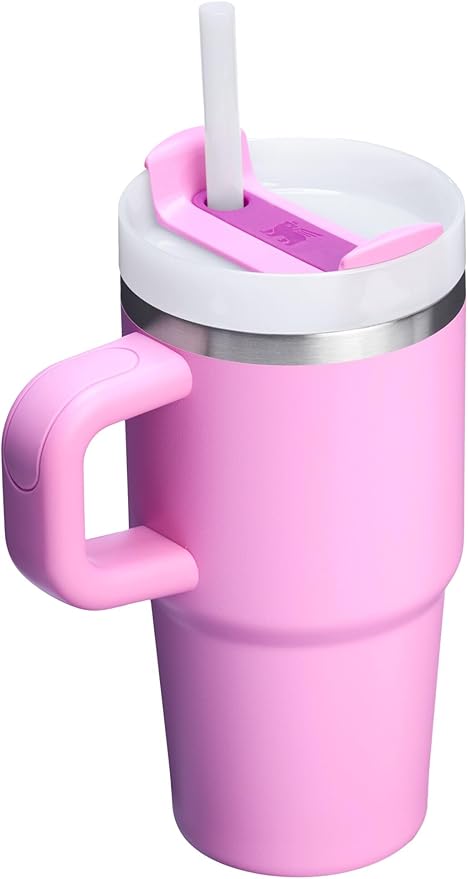 Stanley Quencher H2.0 Tumbler with Handle and Straw 20 oz | Flowstate 3-Position Lid | Cup Holder Compatible for Travel | Insulated Stainless Steel Cup | BPA-Free | Peony