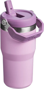Stanley IceFlow Flip Straw Tumbler with Handle 20 oz | Twist On Lid and Flip Up Straw | Leak Resistant Water Bottle | Insulated Stainless Steel |BPA-Free | Lilac