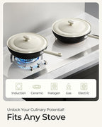 Carbon Steel Wok Pan - 11.8 Inch Pre-Seasoned Flat Bottom Chinese Woks & Stir Fry Pans with Lid, Lightweight Kitchen Cookware for All Stovetops, Gas, Electric, Gift Set for Women/Mom