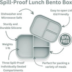 Ali+Oli Silicone Bento Box (Blue) Lunch Box for Kids, Toddlers, Preschoolers & Adults | BPA-Free and Spill-Proof | Ideal for School, and On-the-Go Meals| Perfect for Lunch, Snacks, and Meals