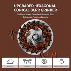 Stainless Steel Burr Coffee Grinder with 51 Grind Settings，Grind Timer,Electric Coffee Grinder for Espresso/Drip/Pour Over/Cold Brew/French Press Coffee Maker，120V/165W