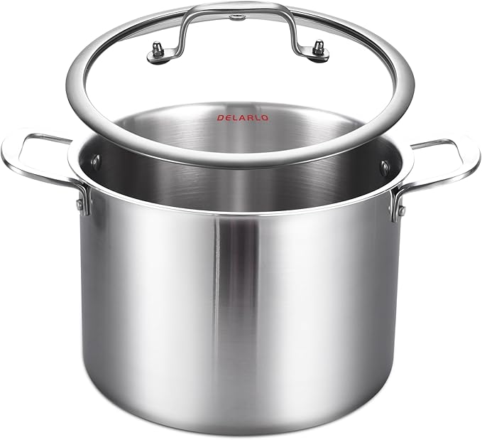 DELARLO Tri-ply Stainless Steel 20QT Stock Pot, Compatible with All Stoves Up to 600℉, 18/10 Induction Big Cooking Pot with Lid, Fast & Even Heating, Durable Large Soup Pot