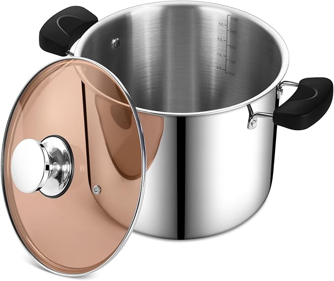 P&P CHEF Stainless Steel 3-Ply Sock Pot with Lid, Stockpot for Cooking Pasta & Stewing Soup, Fits Multi Stoves, Heat-proof Handle & Clear Lid, Heavy Duty & Dishwasher Safe, 10 Quarts