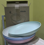 Wheat Straw Plates Lightweight Unbreakable Dinner Dishes Plates Set Dishwasher & Microwave Safe (Extra Large 4 Pack 10')