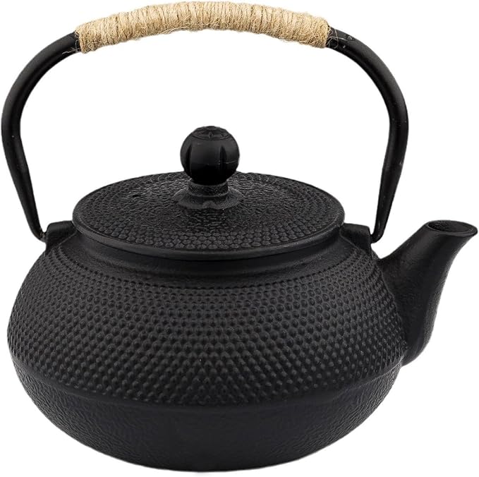 20.3oz Only, Small Tea Kettle for 1-2 Cups, Japanese Tetsubin, Cast Iron Teapot with Stainless Steel Infuser for Loose Leaf & Coffee, Tea Pot for Stovetop Safe, Enamel Interior(Black, 600ml)