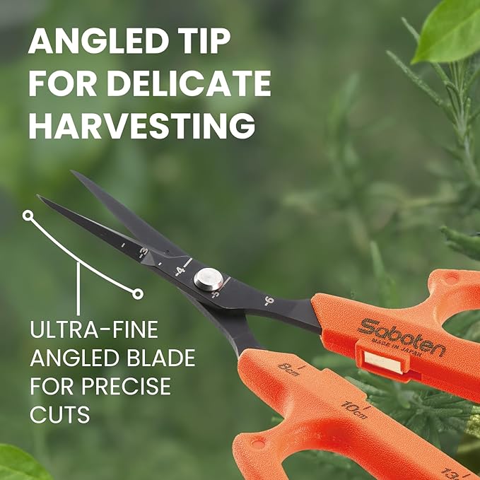 Saboten Japan 6.3" Automatic Japanese Harvesting Shears - Fine-Tipped Angled Blade, Magnetic Springless Action, Stainless Steel with Fluorine Coating, Ergonomic Grip - forest Originals, Made in Japan