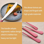 20-Piece Pink Silverware Set 18/0 Stainless Steel Silverware Set Pink Handle Cutlery Set Service for 4 Dinner Knives Forks Spoons Set Flatware Set Finish Dishwasher Safe