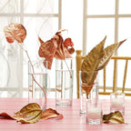 LAV Highball Glasses Set of 6 | Lead-Free Elegant Tall Glass, Tom Collins, Bar Beverage Glassware for Water, Mojito, Iced Coffee, Juice, Cocktail, Mixed Drinks, Restaurant, Drinking Cups | 12.2 oz