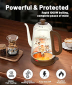 Gooseneck Electric Kettle, 1L Water Boiler, Pour Over Coffee & Tea, 1000W Fast Heating, Stainless Steel, Auto Shut-Off & Boil-Dry Protection, BPA-Free (White)