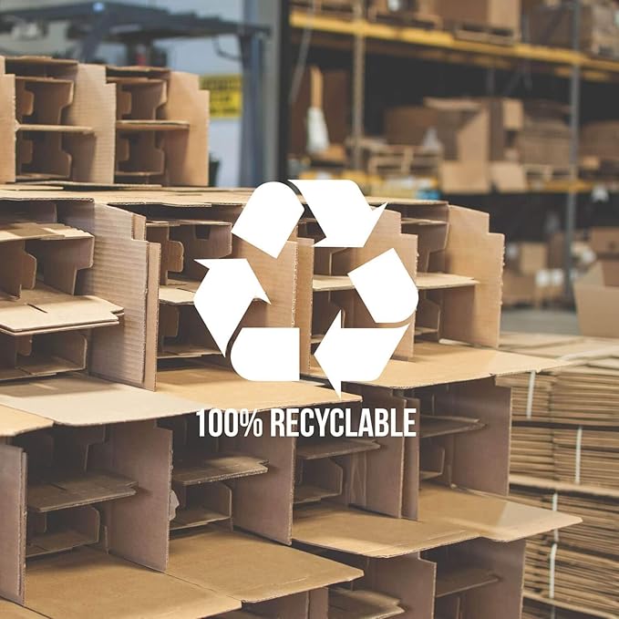 Rolf Glass School of Fish Clear Stemless Wine Glass | Set of 2 Stemless Glasses | 15oz Glass Tumblers | Engraved Lead-Free Coastal Glassware | Made in the USA