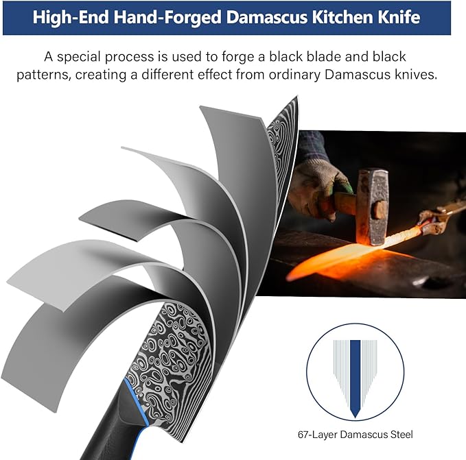 FINTISO Chef Knife 8 inch, 67-Layer Japanese Damascus Steel Kitchen Knife, Sharp Knife with G10 Handle, Professional Cooking Knives for Home and Kitchen