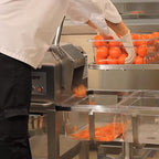 Robot Coupe CL60B Two Speed Bulk Continuous Feed Commercial Food Processor with Side Discharge and Two Discs, 240v