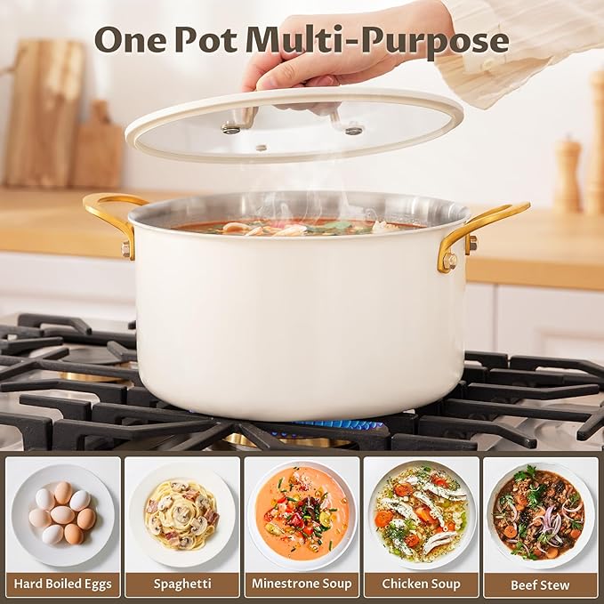 BEZIA 10 Quart Large Stainless Steel Stock Pot, Tri-Ply Stainless Steel Stockpot, Visible Lid with Silicone Edging, Sturdy & Double Handle, Induction Cooking Pot for Pasta, Soup, Spaghetti