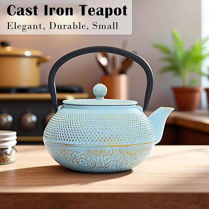 30.4oz Small Cast Iron Teapot, Tea Kettle for Stovetop Safe Coated with Enameled Interior, Japanese Tetsubin, Tea Pot with Stainless Steel Infuser for Loose Tea(900ml)