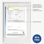 BLUE GINKGO Sink Colander Baskets - (Pack of 2) Wash Vegetables and Fruits, Drain Cooked Pasta and Dry Dishes - Extendable - New Home Kitchen Essentials (2 Black)