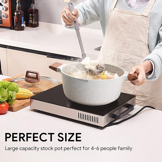 Nonstick Die Casting Stock Pot,6Qt Elegant Aluminum Ceramic Casserole with Lid, Induction Bottom