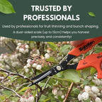 Saboten Japan 6.3" Automatic Japanese Harvesting Shears - Fine-Tipped Angled Blade, Magnetic Springless Action, Stainless Steel with Fluorine Coating, Ergonomic Grip - forest Originals, Made in Japan