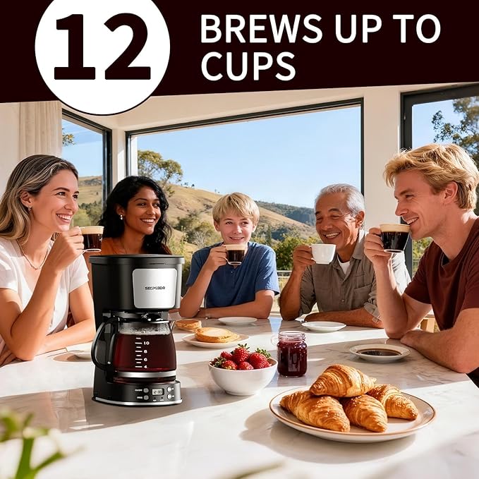 12-Cup Drip Coffee Maker with Reusable Filter,Programmable Clock,Auto Brew,Water Window,Keep Hot Plate,Glass Carafe,Compact Design for Kitchen,Office,Silver and Black,Stainless Steel