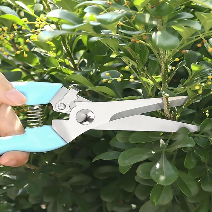 Premium Garden Shears, Pruning Scissors Gardening Tools, Pruners For Flower, Bushes, Rose And Fruit Tree, Use For Florist, Yard And Orchard the Plant Clippers, Sharp White Steel Anvil Snips