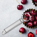 BESTonZON 2 PCS Multipurpose Corer Pitter, Stainless Steel Peach Pitter Fruit Core Remover, Pit Fruit Corer Removing Tool, Kitchen Gadget and Vegetable for Apple Pear Peach