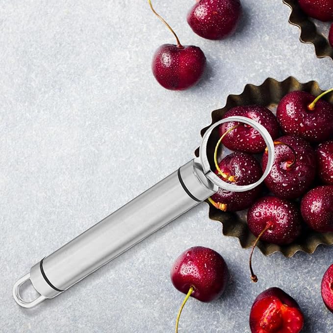 BESTonZON 2 PCS Multipurpose Corer Pitter, Stainless Steel Peach Pitter Fruit Core Remover, Pit Fruit Corer Removing Tool, Kitchen Gadget and Vegetable for Apple Pear Peach