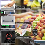 Goplus 66 LB Deli Scale Price Computing Commercial Food Produce Electronic Counting Weight (Silver)