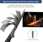 7 Inch Fillet Knife, Ultra Sharpe Meat Boning Knife in 67-Layer Japanese Damascus Steel, Professional Fish Knives with Ergonomic G10 Handle for Slicing and Skinning