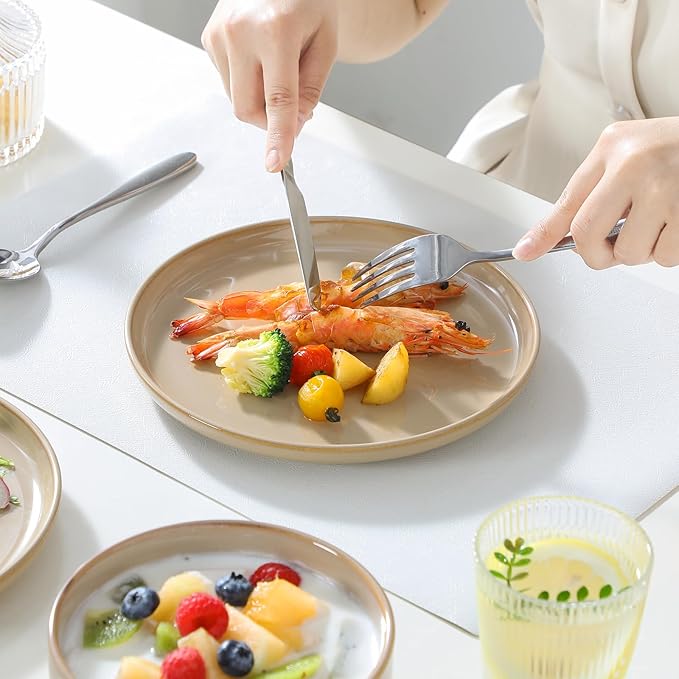 vancasso PLAYA Plates and Bowls Sets,12 Pieces Brown Dinnerware Sets for Kitchen, Reactive Glaze Dishes Set for 4, Dishwasher and Microwave Safe