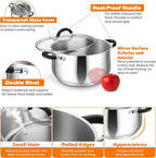 P&P CHEF Stainless Steel Stock Pot, 6 Qt Cooking Soup Pot with Visible Lid for Pasta, Tri-Ply Bottom & Dual Heatproof Handles, For Induction Gas All Stoves, Non-Toxic & Dishwasher Safe