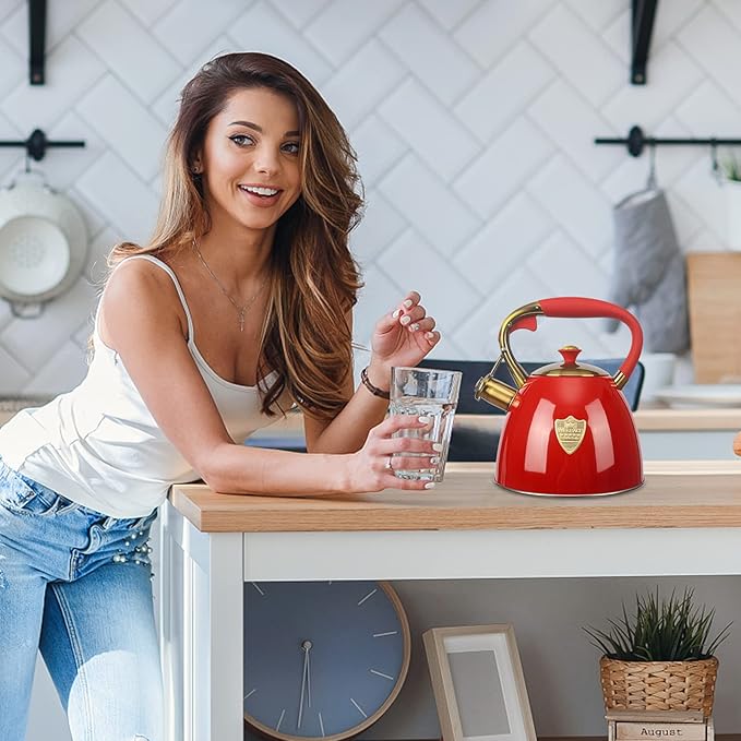 Tea Kettle -2.9 Quart Tea Kettles Stovetop Whistling Teapot Stainless Steel Tea Pots for Stove Top Whistle Tea Pot