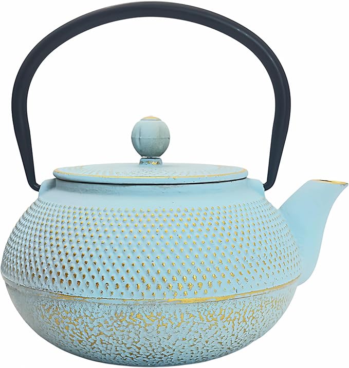 30.4oz Small Cast Iron Teapot, Tea Kettle for Stovetop Safe Coated with Enameled Interior, Japanese Tetsubin, Tea Pot with Stainless Steel Infuser for Loose Tea(900ml)