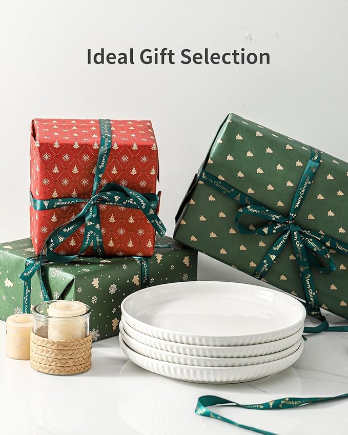 Ceramic Dinner Plates Set of 2,10 Inch,Microwave,Dishwasher and Oven Safe,Porcelain Dessert Plates for Pasta,Appetizer,Salad and Steak,Dishes Set for Kitchen,Scratch Resistant,Striped White