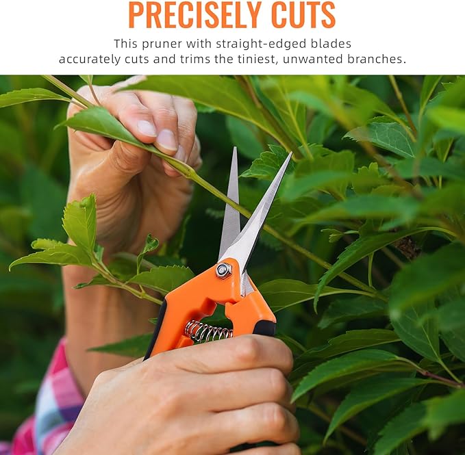BEoffer 4 Pack Pruning Shears, 6.5 Inch Garden Scissors Gardening Hand Pruning Snips with Straight Stainless Steel Precision Blades for Gardening Flower Plant Precise Trimming and Pruning Maintenance