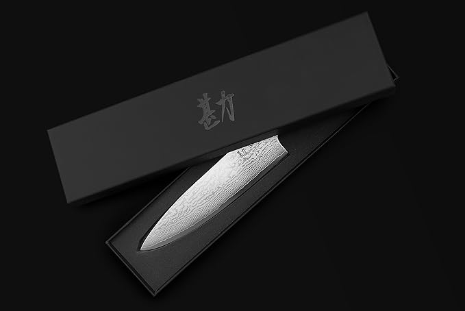 KAN Core Professional Chef Knife 8-inch VG-10 67 layers Damascus Ambidextrous (Non-Hammered Japanese VG-10 Blade, Ebony Handle)