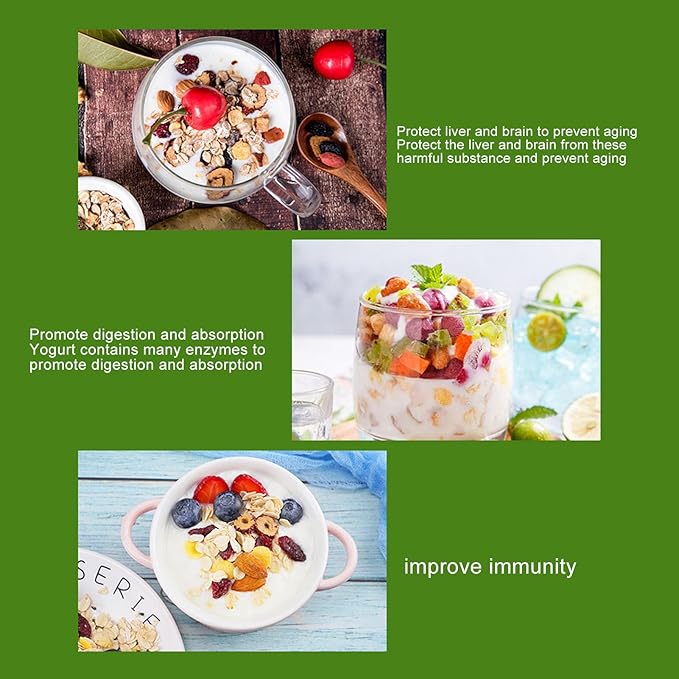 110 V Yogurt Maker Machine, Compact Yogurt Maker, Fruit Wine Maker, Stainless Steel, for Homemade DIY Yogurt Green 15W US Plug