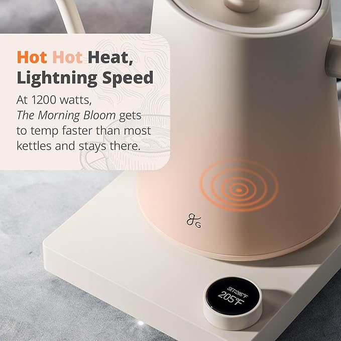 Greater Goods Electric Gooseneck Kettle, 1200W Stainless Steel with Precision Temperature Control, Fast Boil, BPA-Free, Ideal for Pour Over Coffee and Tea,1L (Birch)